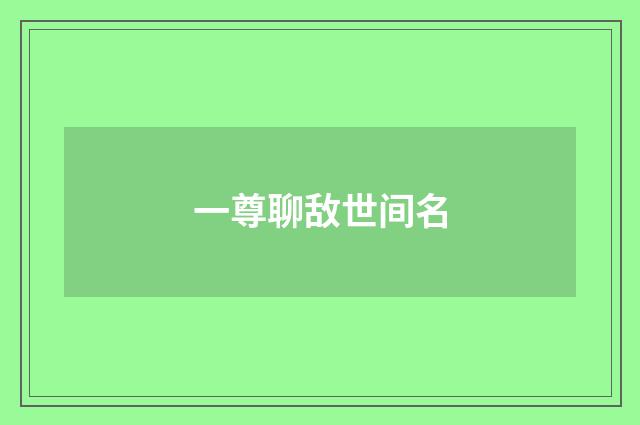 一尊聊敌世间名