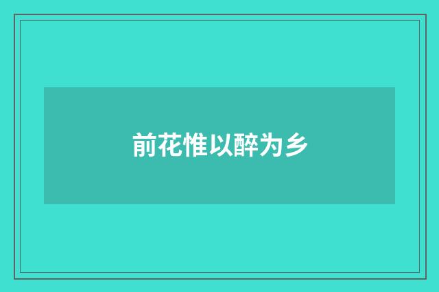 前花惟以醉为乡