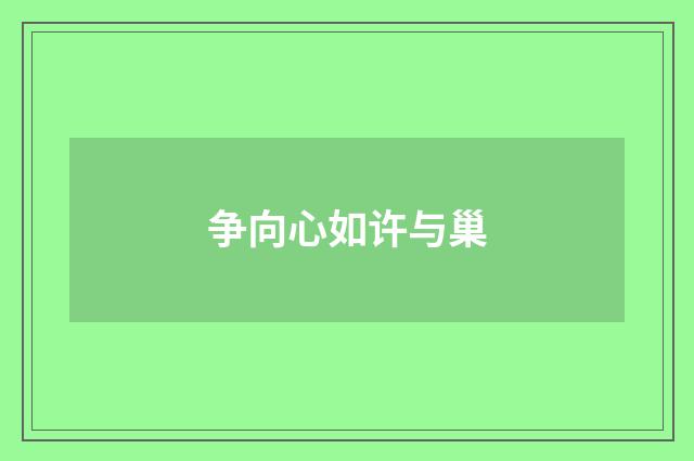 争向心如许与巢