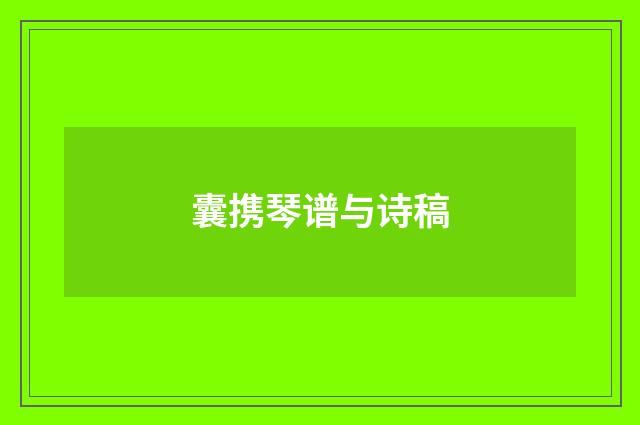 囊携琴谱与诗稿