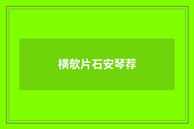 横欹片石安琴荐
