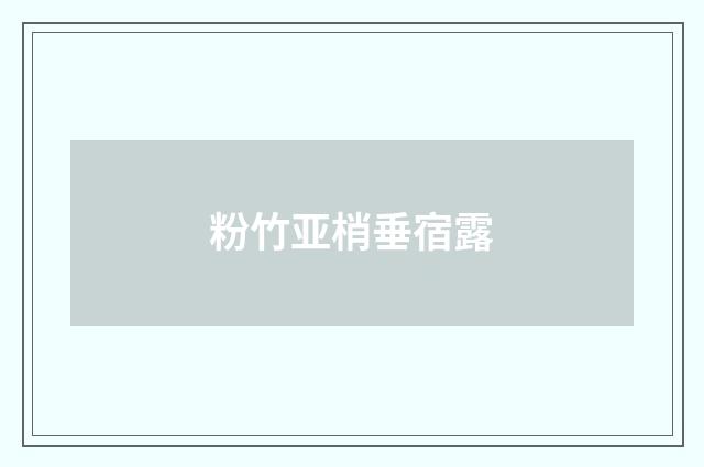 粉竹亚梢垂宿露