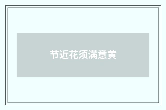 节近花须满意黄