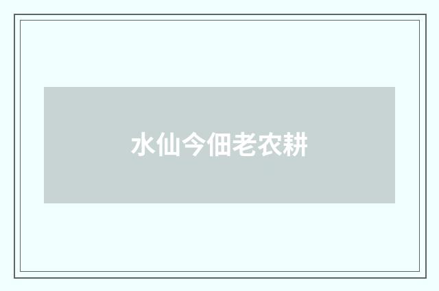 水仙今佃老农耕