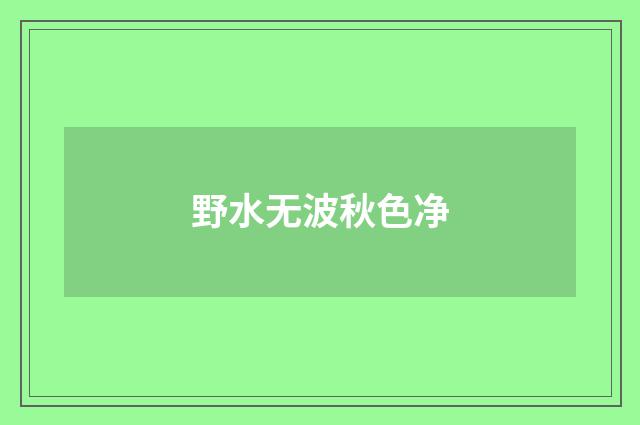 野水无波秋色净