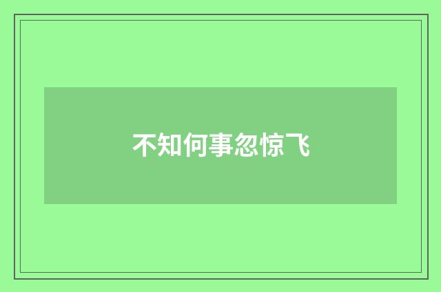 不知何事忽惊飞