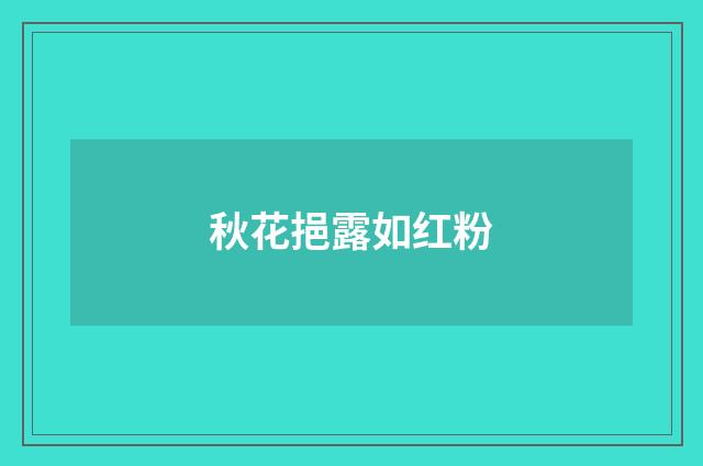 秋花挹露如红粉