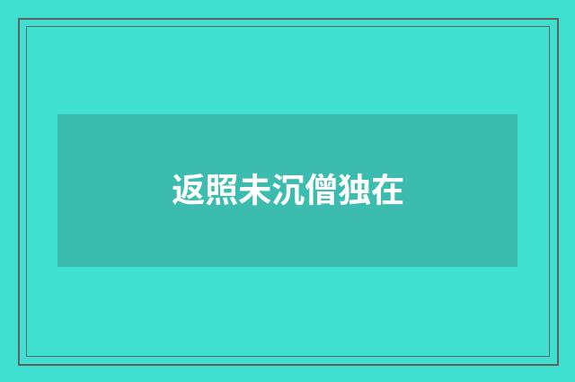 返照未沉僧独在