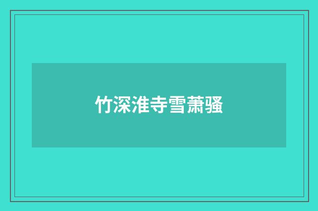 竹深淮寺雪萧骚