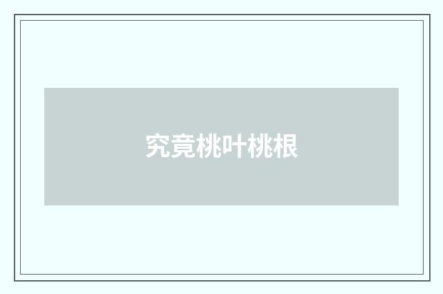 究竟桃叶桃根