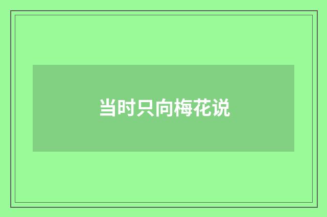 当时只向梅花说