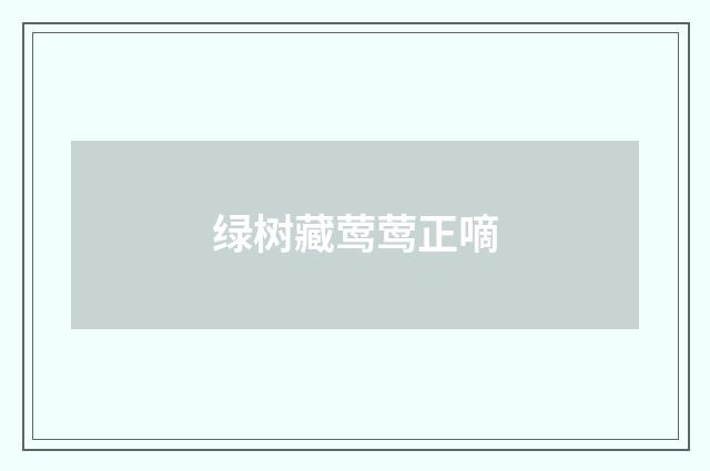绿树藏莺莺正嘀