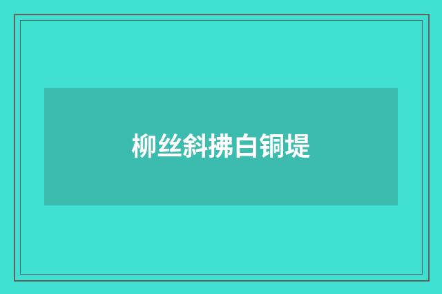 柳丝斜拂白铜堤