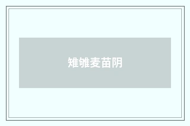 雉雊麦苗阴