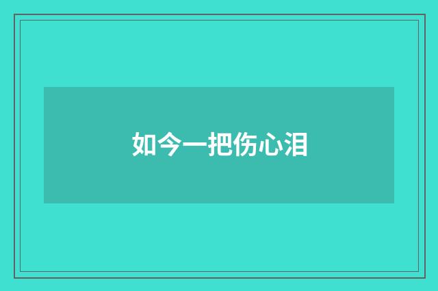 如今一把伤心泪