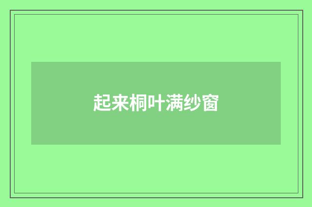 起来桐叶满纱窗