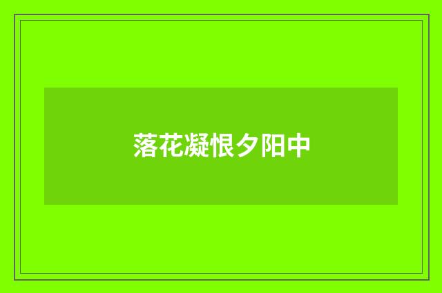落花凝恨夕阳中