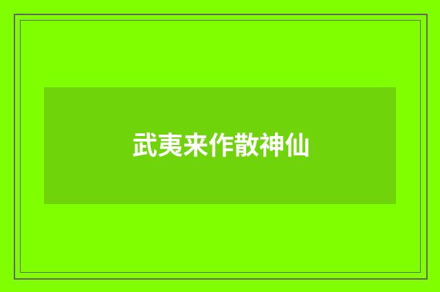 武夷来作散神仙