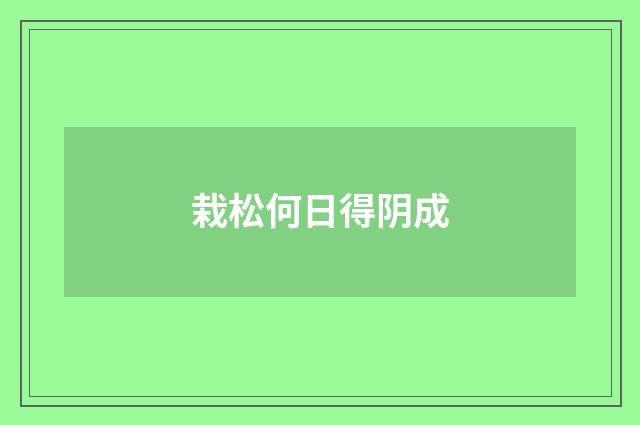 栽松何日得阴成