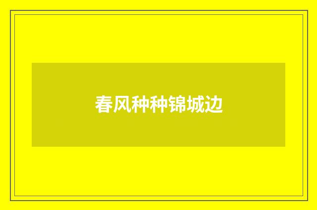 春风种种锦城边