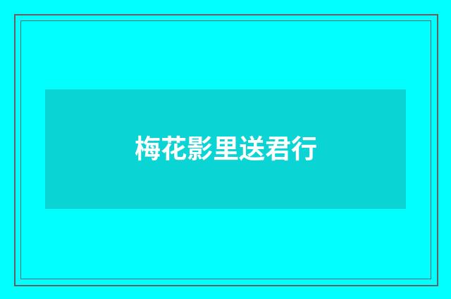 梅花影里送君行