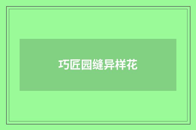 巧匠园缝异样花