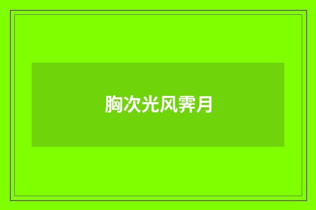 胸次光风霁月