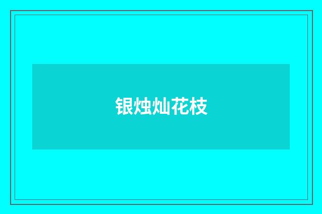 银烛灿花枝