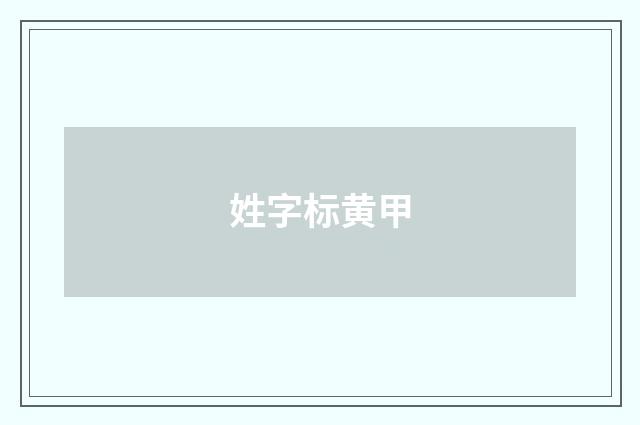姓字标黄甲