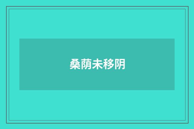 桑荫未移阴