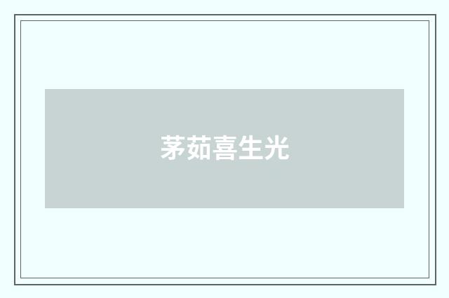茅茹喜生光