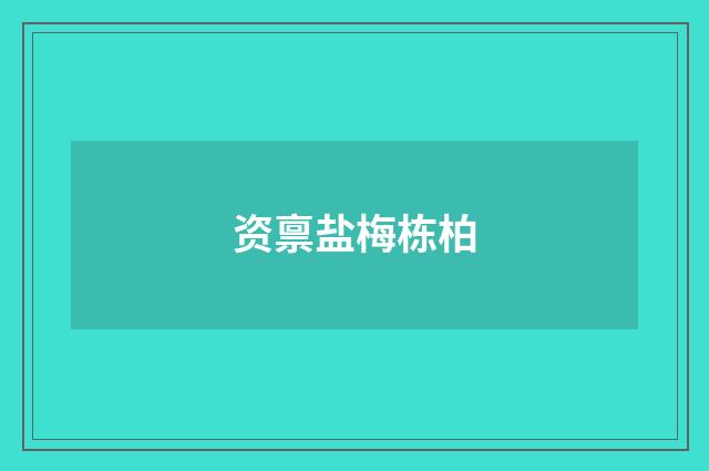 资禀盐梅栋柏