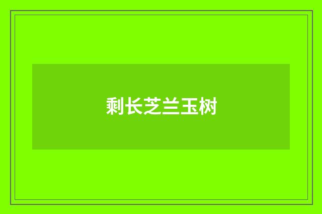 剩长芝兰玉树
