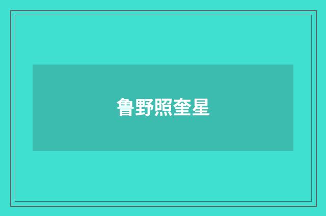 鲁野照奎星