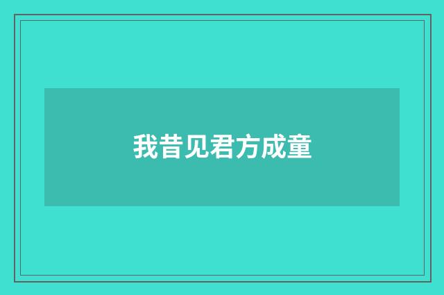 我昔见君方成童