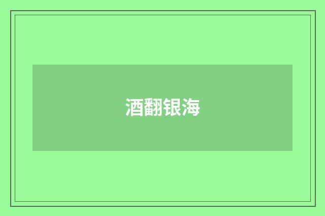 酒翻银海