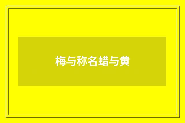 梅与称名蜡与黄