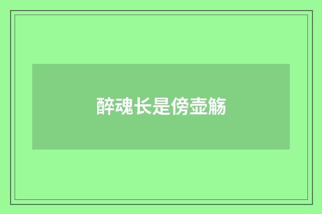 醉魂长是傍壶觞