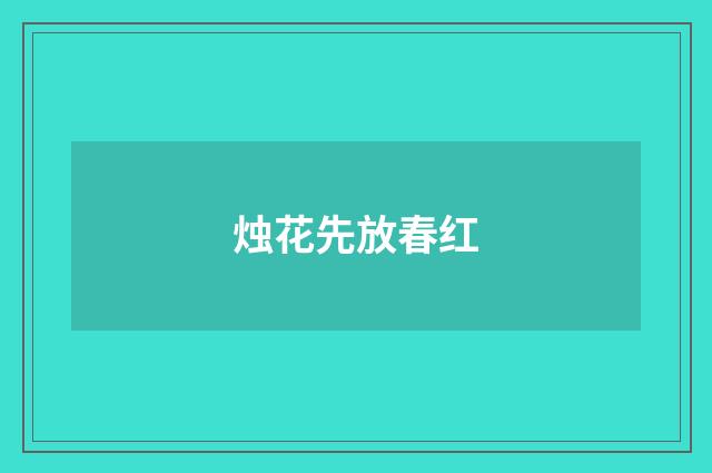 烛花先放春红