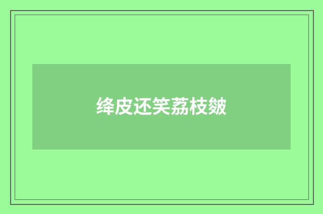 绛皮还笑荔枝皴
