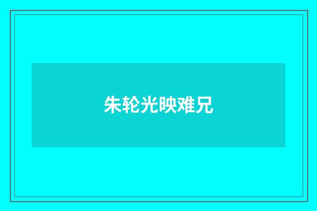 朱轮光映难兄
