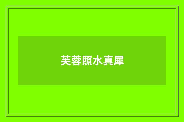 芙蓉照水真犀