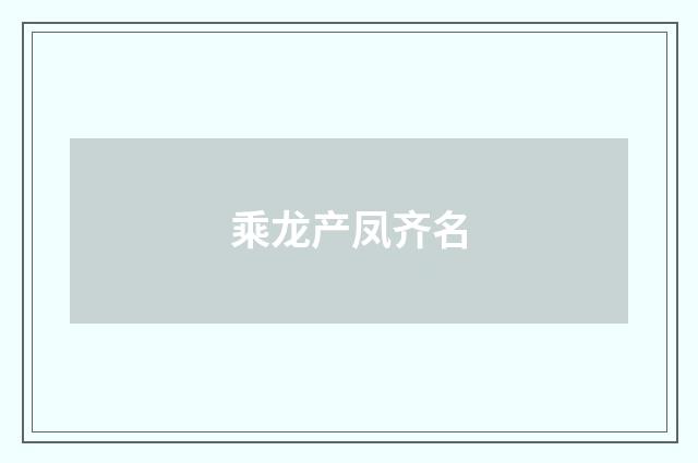 乘龙产凤齐名