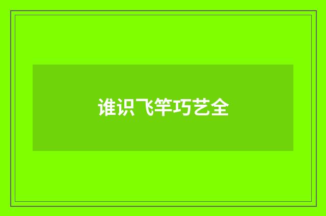 谁识飞竿巧艺全