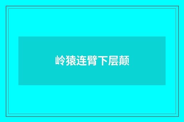 岭猿连臂下层颠