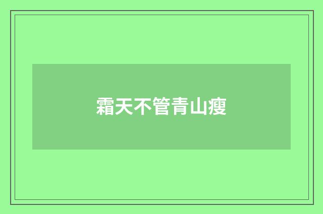 霜天不管青山瘦