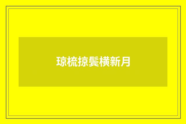 琼梳掠鬓横新月