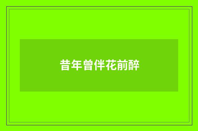 昔年曾伴花前醉