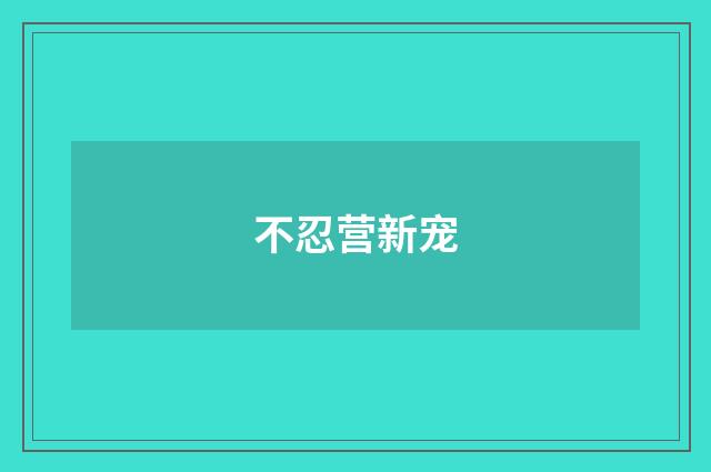 不忍营新宠