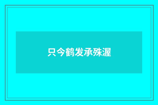 只今鹤发承殊渥